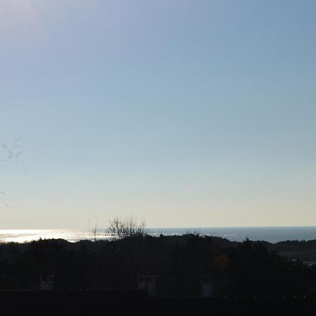 Vue Mer Berck Εξωτερικό φωτογραφία