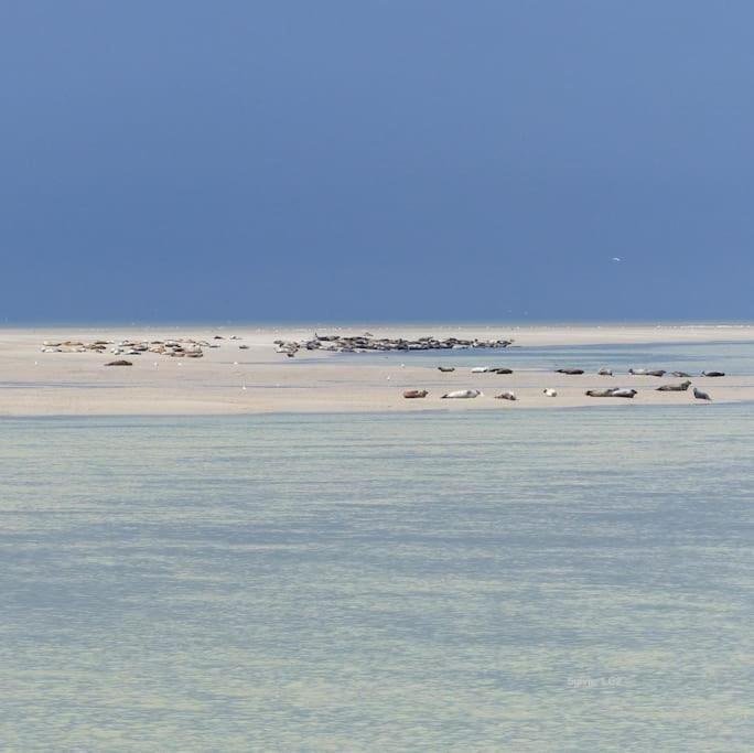 Vue Mer Berck Εξωτερικό φωτογραφία